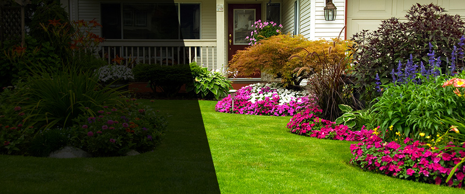 Duarte Landscapers