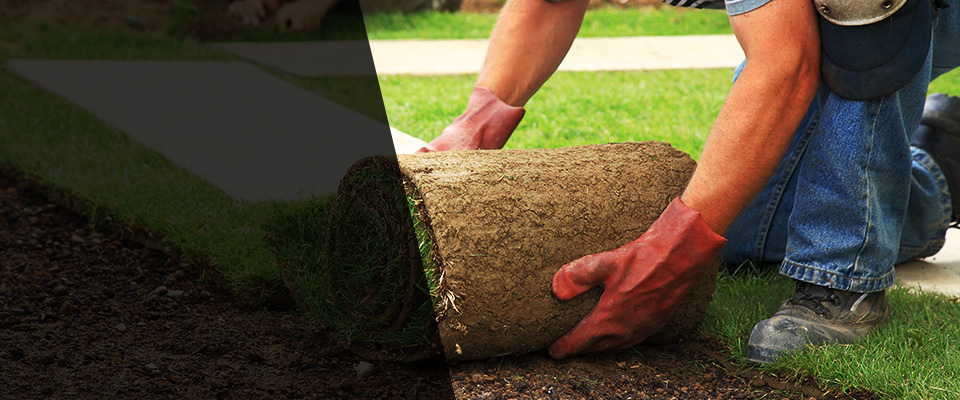 Duarte Landscapers